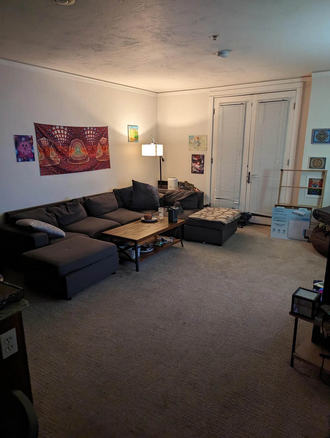 Living Room After Cleaning