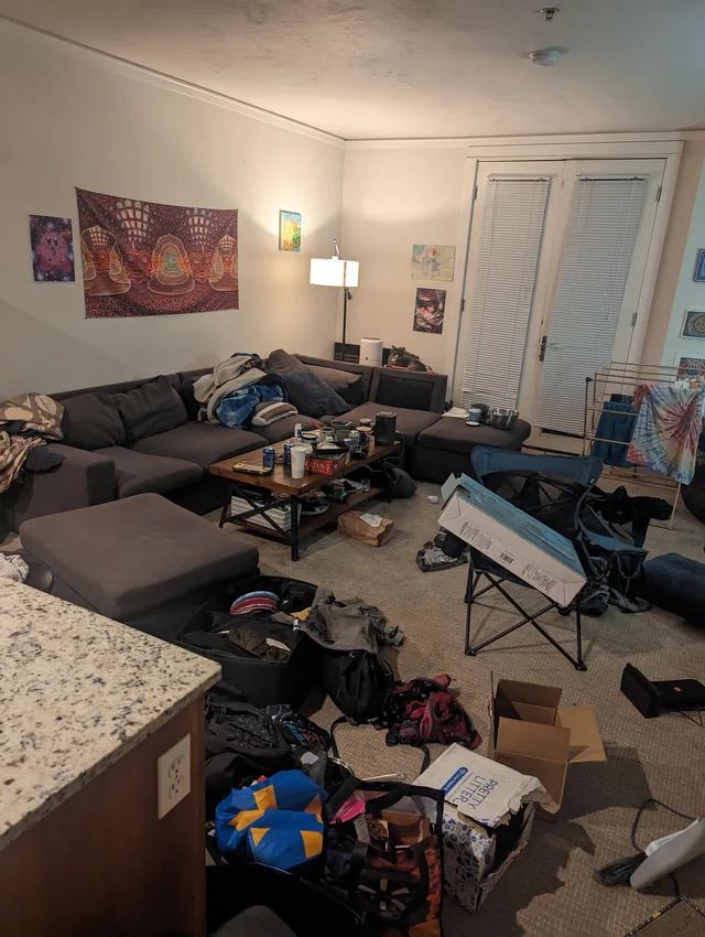 Living Room Before Cleaning